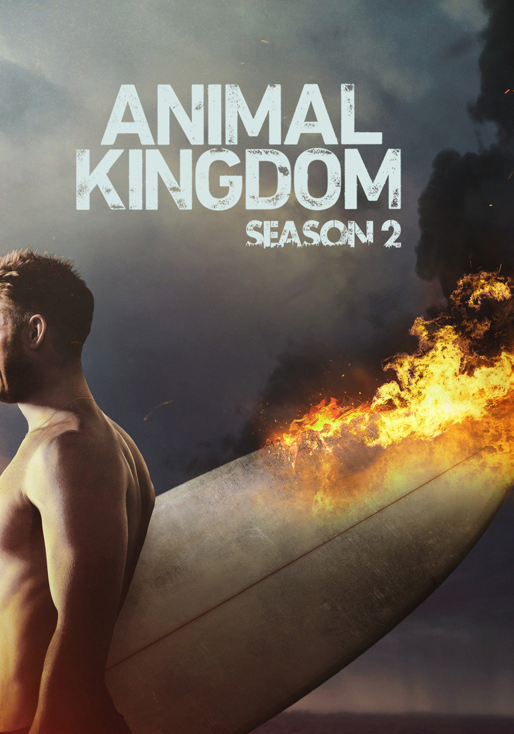 Animal Kingdom Season 2 (2017)